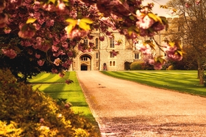 Résidence royale - Château de Windsor (Angleterre)